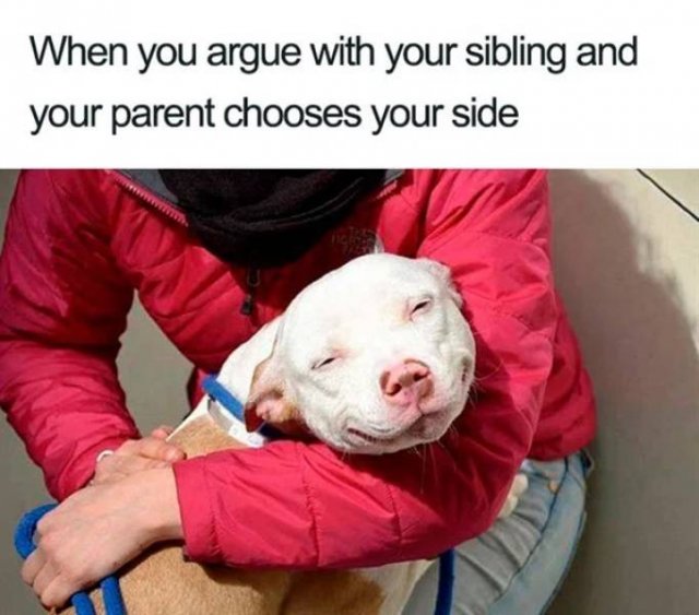Sibling Memes (27 pics)