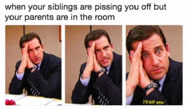Sibling Memes (27 pics)
