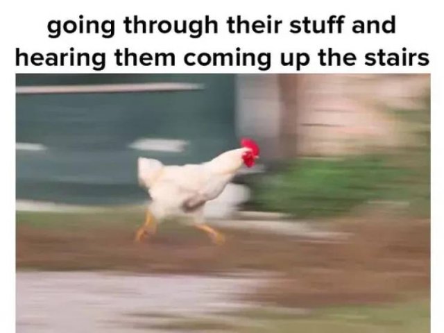 Sibling Memes (27 pics)