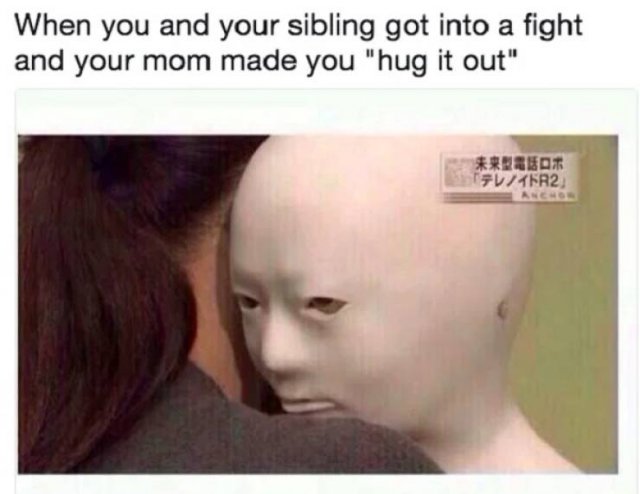 Sibling Memes (27 pics)