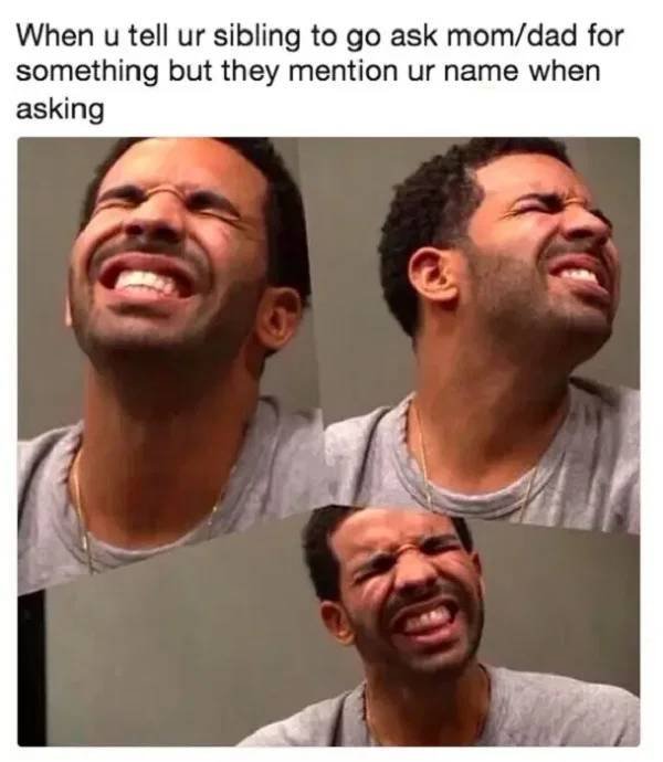 Sibling Memes (27 pics)