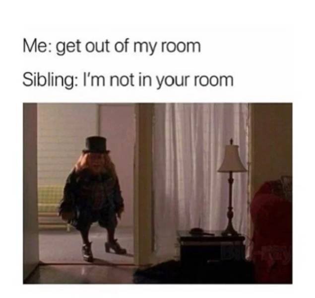 Sibling Memes (27 pics)