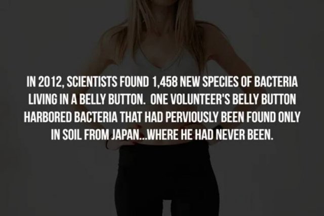 Interesting Facts (17 pics)