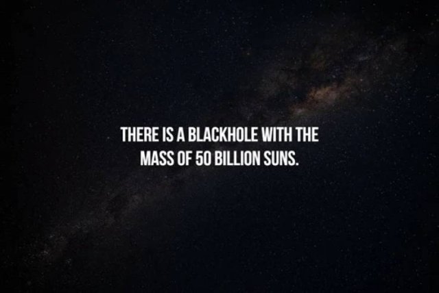 Interesting Facts (17 pics)
