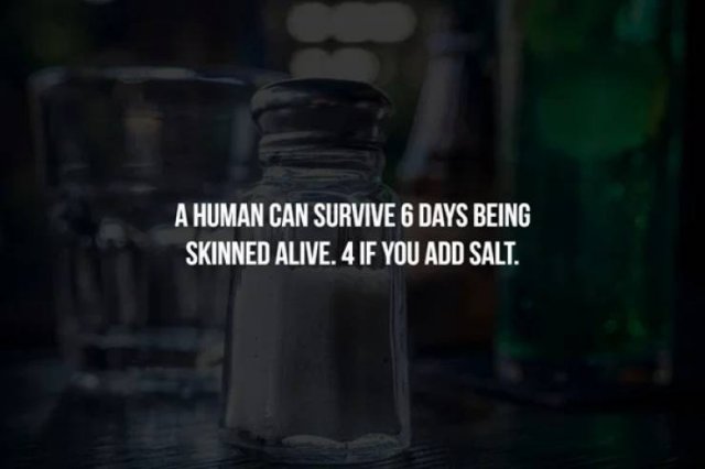 Interesting Facts (17 pics)