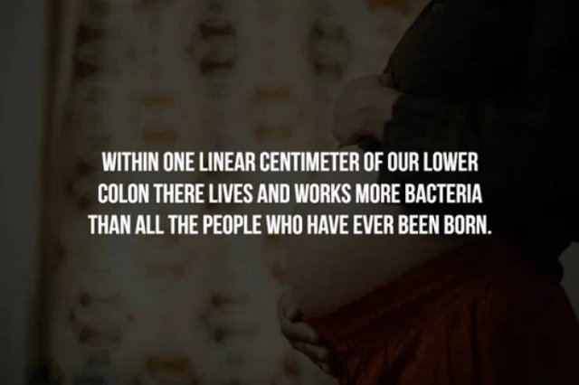 Interesting Facts (17 pics)