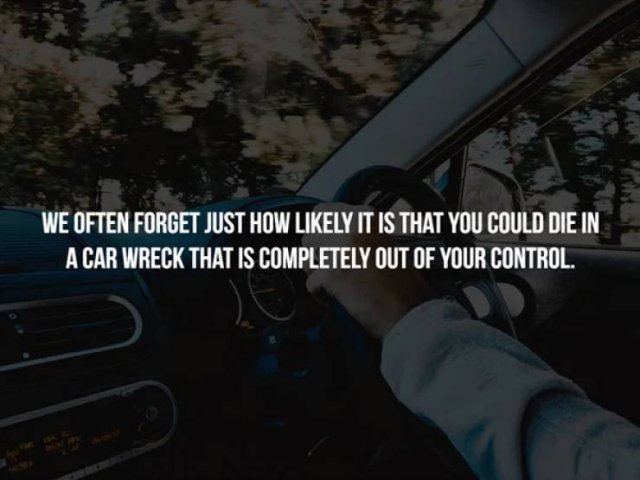 Interesting Facts (17 pics)