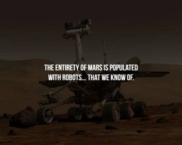 Interesting Facts (17 pics)
