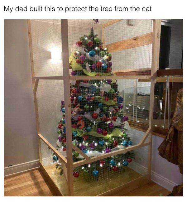 Humor About Dads (21 pics)