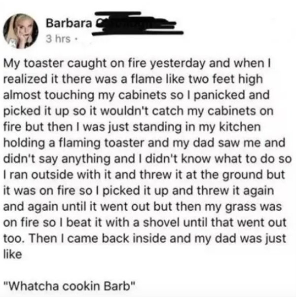 Humor About Dads (21 pics)
