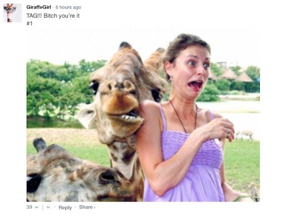 Funny Comments (56 pics)