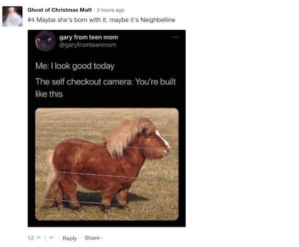 Funny Comments (56 pics)