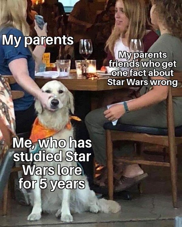 Star Wars Memes (37 pics)