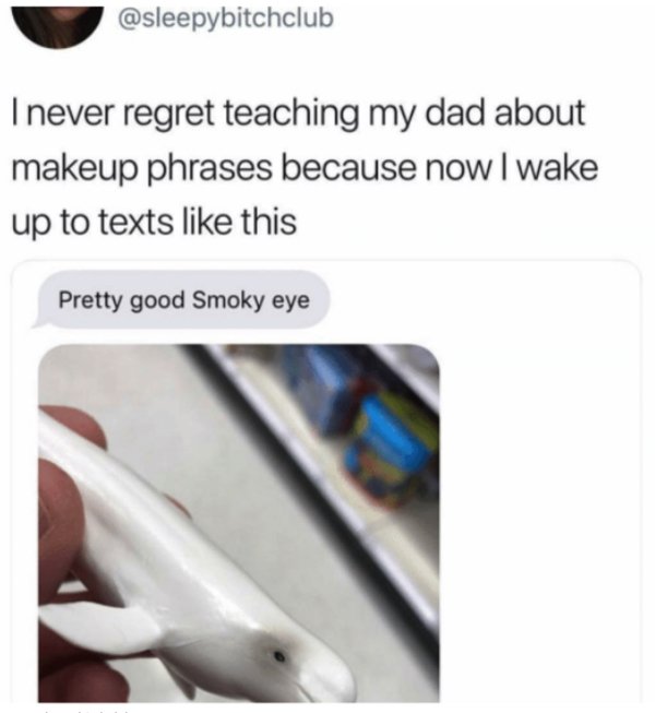 Humor About Dads (21 pics)