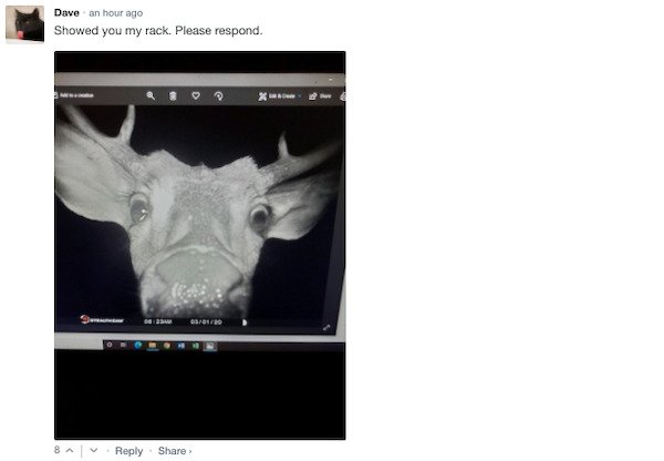 Funny Comments (56 pics)