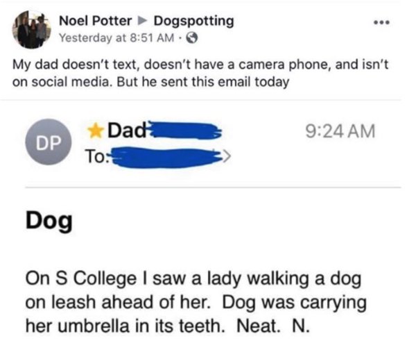 Humor About Dads (21 pics)