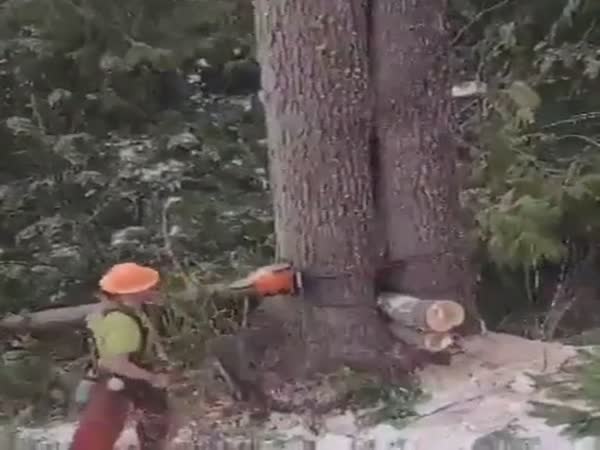 That Was Unexpected