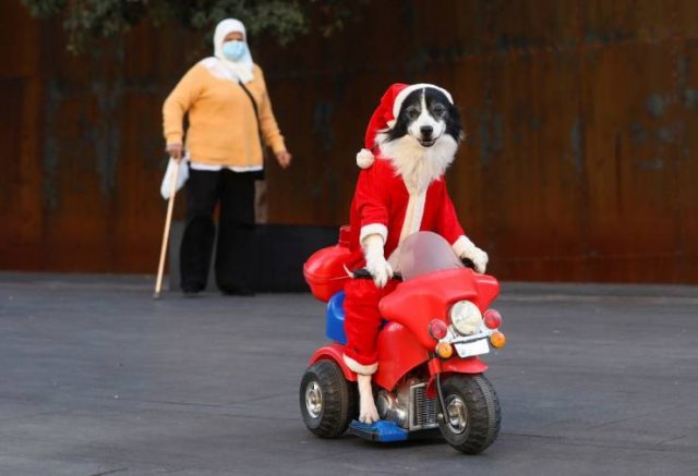 Acid Picdump. Part 1 (95 pics)