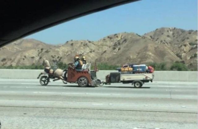 Acid Picdump. Part 1 (95 pics)