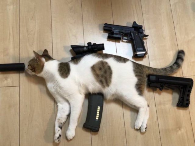 Acid Picdump. Part 1 (95 pics)