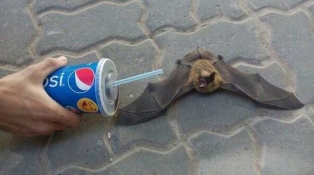 Acid Picdump. Part 1 (95 pics)