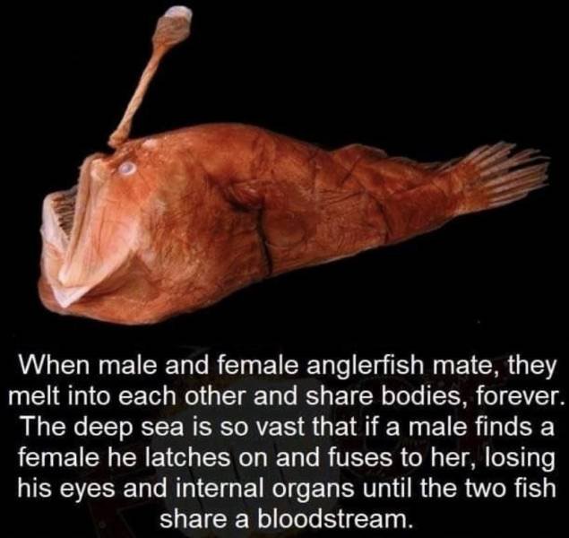 Acid Picdump. Part 1 (95 pics)