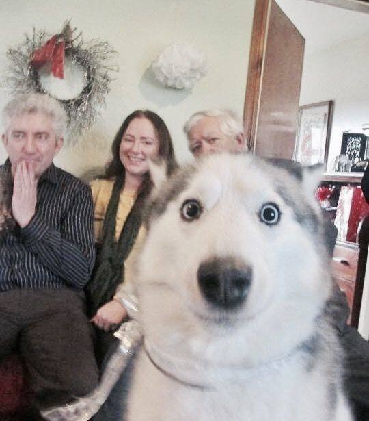 Acid Picdump. Part 1 (95 pics)