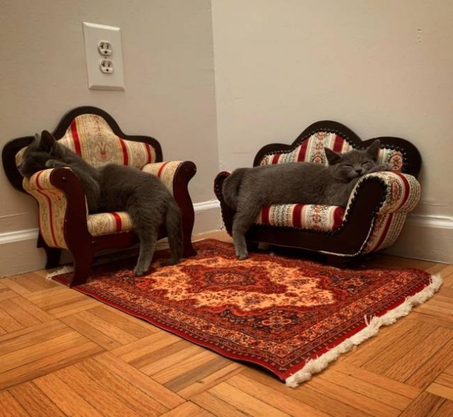 Acid Picdump. Part 1 (95 pics)