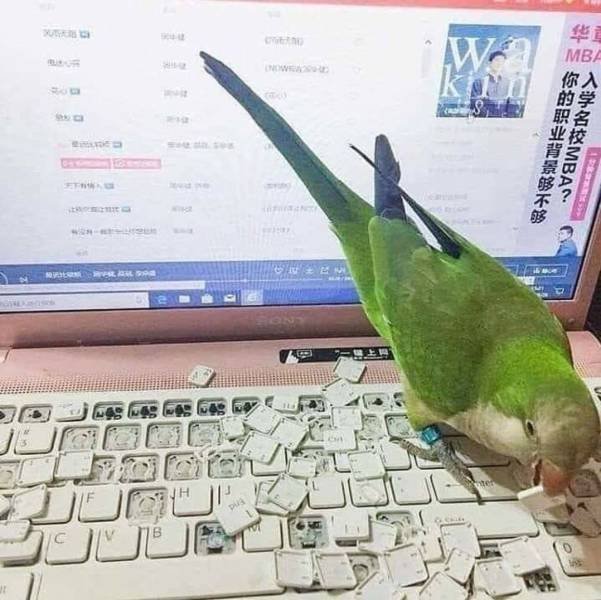 Acid Picdump. Part 1 (95 pics)