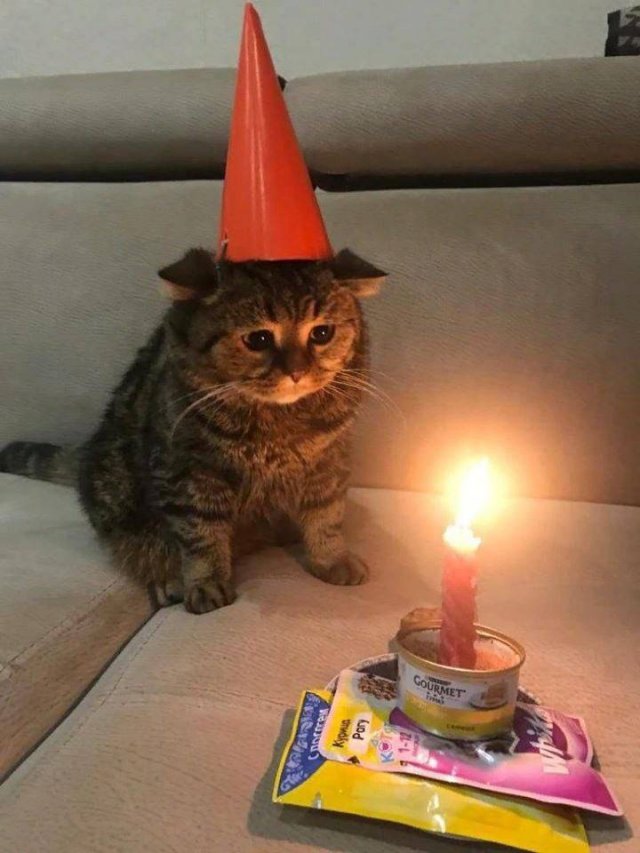 Acid Picdump. Part 1 (95 pics)
