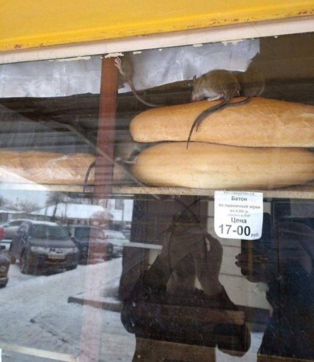 Acid Picdump. Part 1 (95 pics)