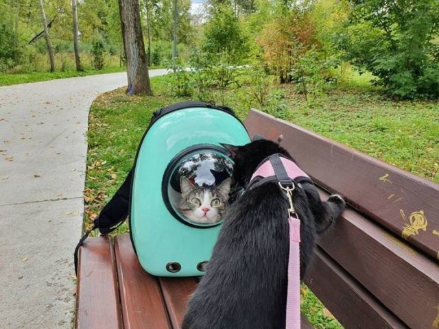 Acid Picdump. Part 1 (95 pics)