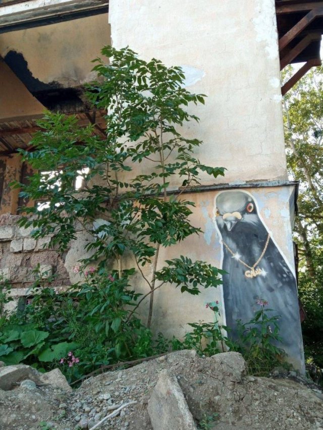 Acid Picdump. Part 1 (95 pics)
