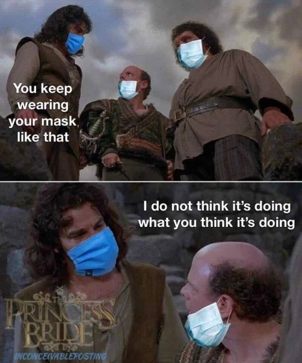 Quarantine Memes (29 pics)