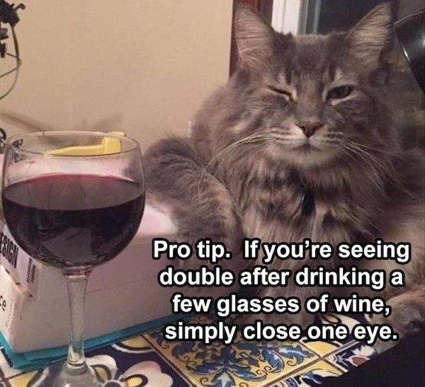 So True (31 pics)