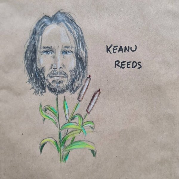 Lunch Bag Cartoons (42 pics)