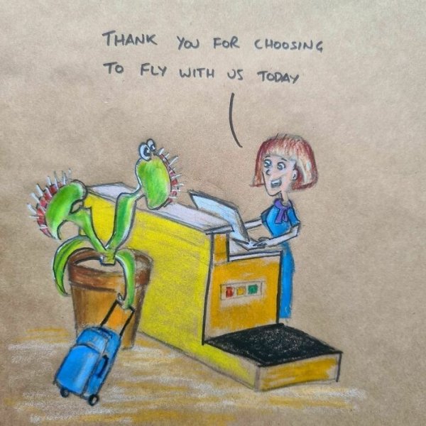 Lunch Bag Cartoons (42 pics)