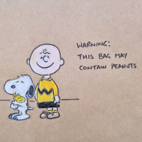 Lunch Bag Cartoons (42 pics)