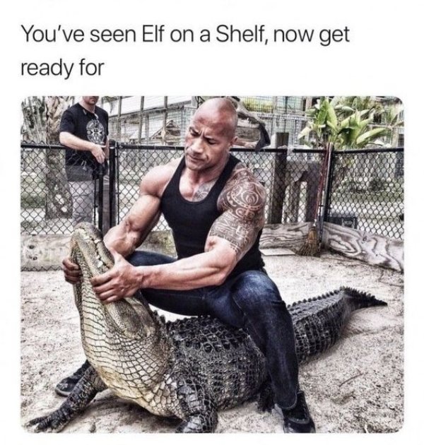 'Elf On The Shelf' Memes (36 pics)