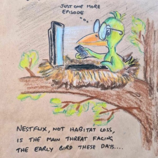 Lunch Bag Cartoons (42 pics)