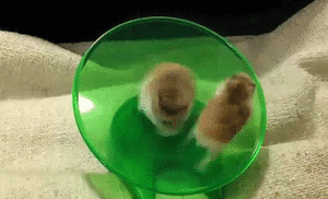 Acid Gifdump, December 15 (25 gifs)