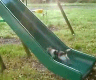Acid Gifdump, December 15 (25 gifs)