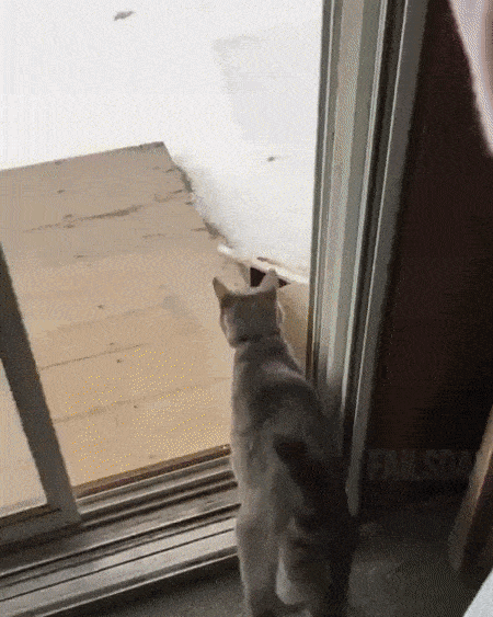 Acid Gifdump, December 15 (25 gifs)