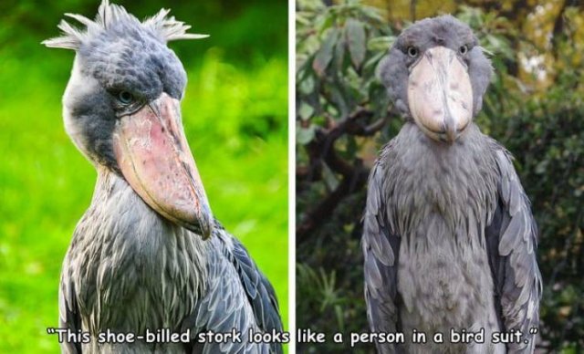 Acid Picdump. Part 1 (92 pics)