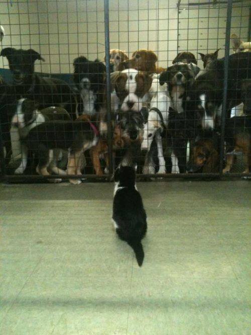 Acid Picdump. Part 1 (92 pics)