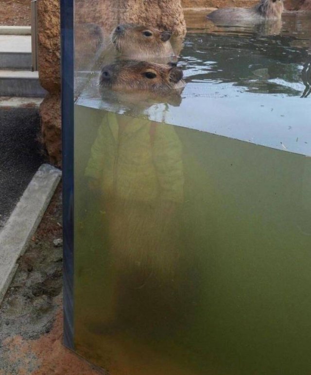 Acid Picdump. Part 1 (92 pics)