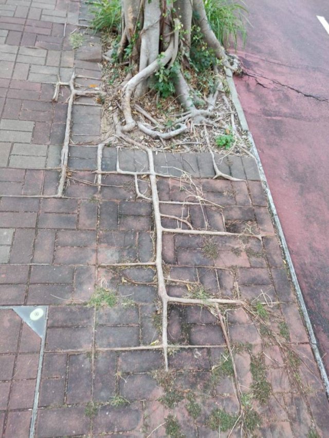 Acid Picdump. Part 1 (92 pics)