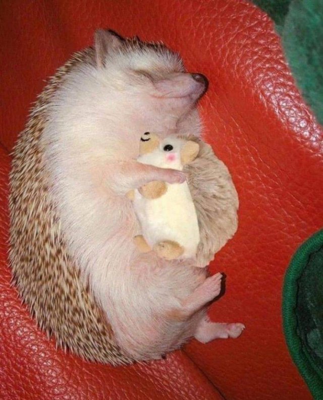 Acid Picdump. Part 1 (92 pics)