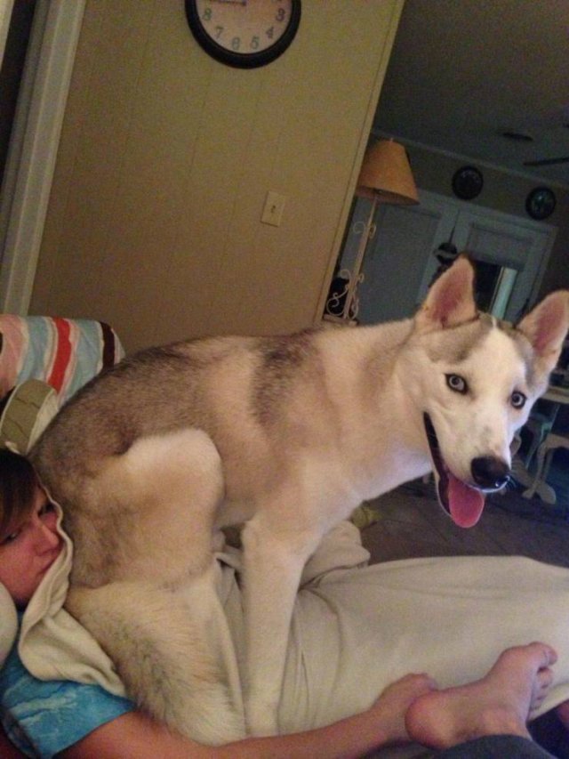 Acid Picdump. Part 1 (92 pics)