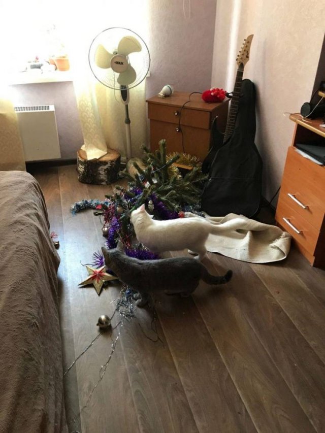 Acid Picdump. Part 1 (92 pics)